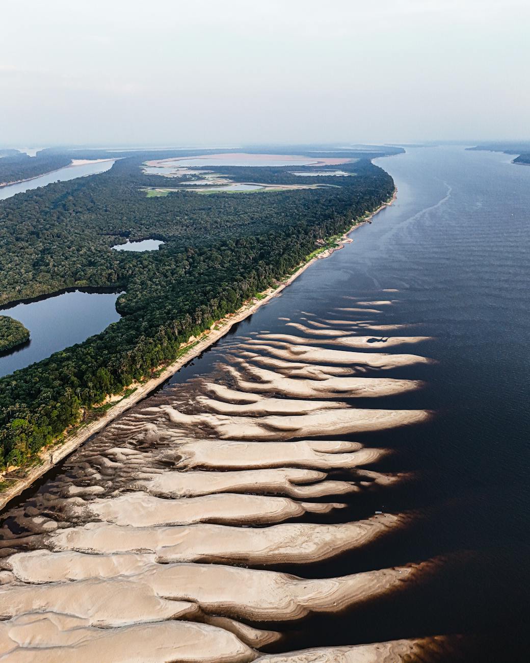 aerial view of amazon river and rainforest